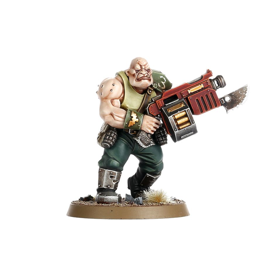 Astra Militarum: Bullgryns/Ogryns