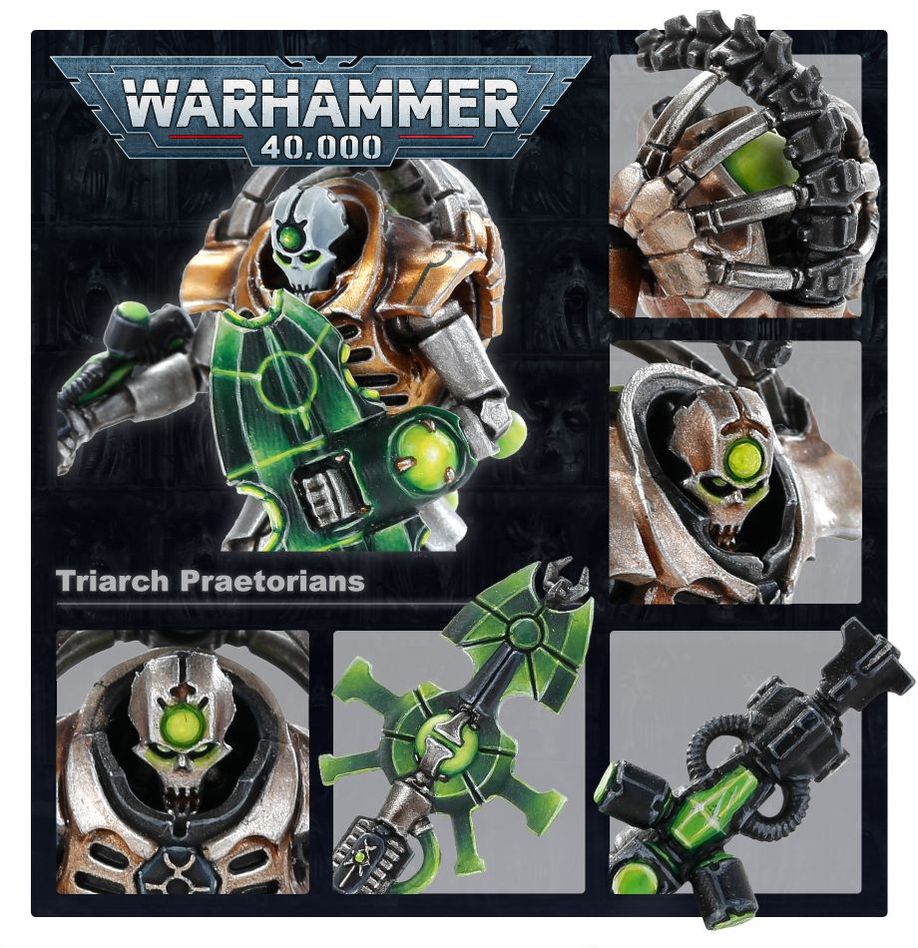 Necrons: Triarch Praetorians/Lychguard