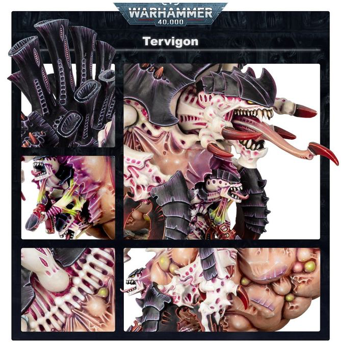 Tyranids: Tyrannofex/Tervigon