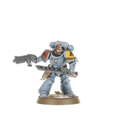 Space Wolves: Grey Hunters