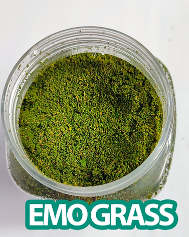 Flockin Flock Emo Grass