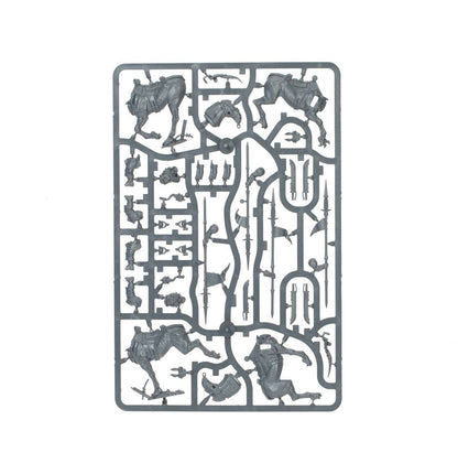 Astra Militarum:  Death Korps of Krieg Army Set