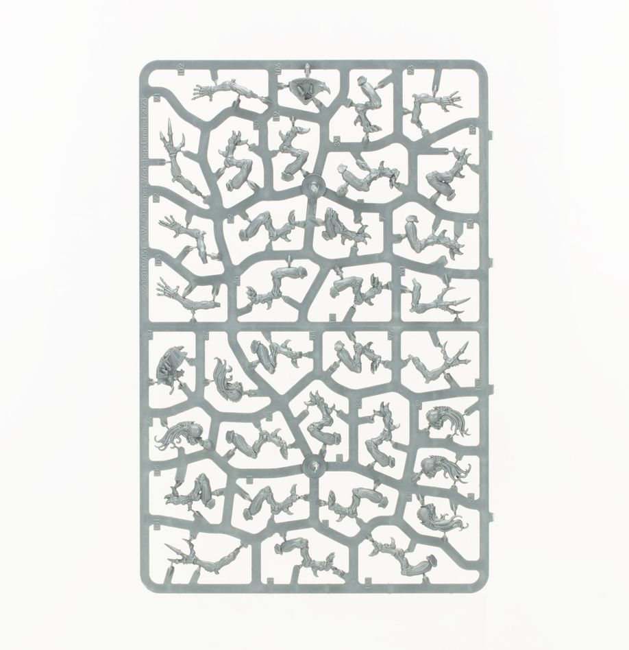 Combat Patrol: Tyranids: Assault Brood