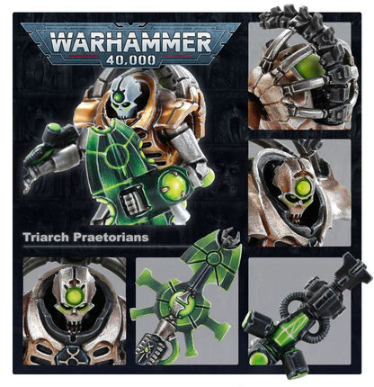Necrons: Triarch Praetorians/Lychguard