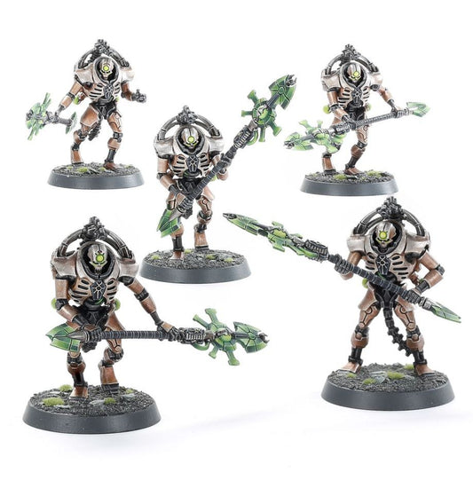 Necrons: Triarch Praetorians/Lychguard