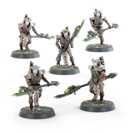 Battle Force Necrons: Hypercrypt Legion