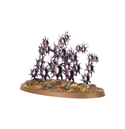 Hedonites Of Slaanesh : Accursed Reflection