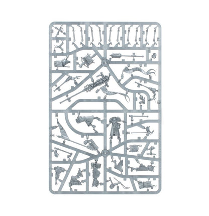 Cities of Sigmar: Freeguild  Fusiliers