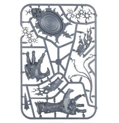 Hedonites Of Slaanesh : Accursed Reflection