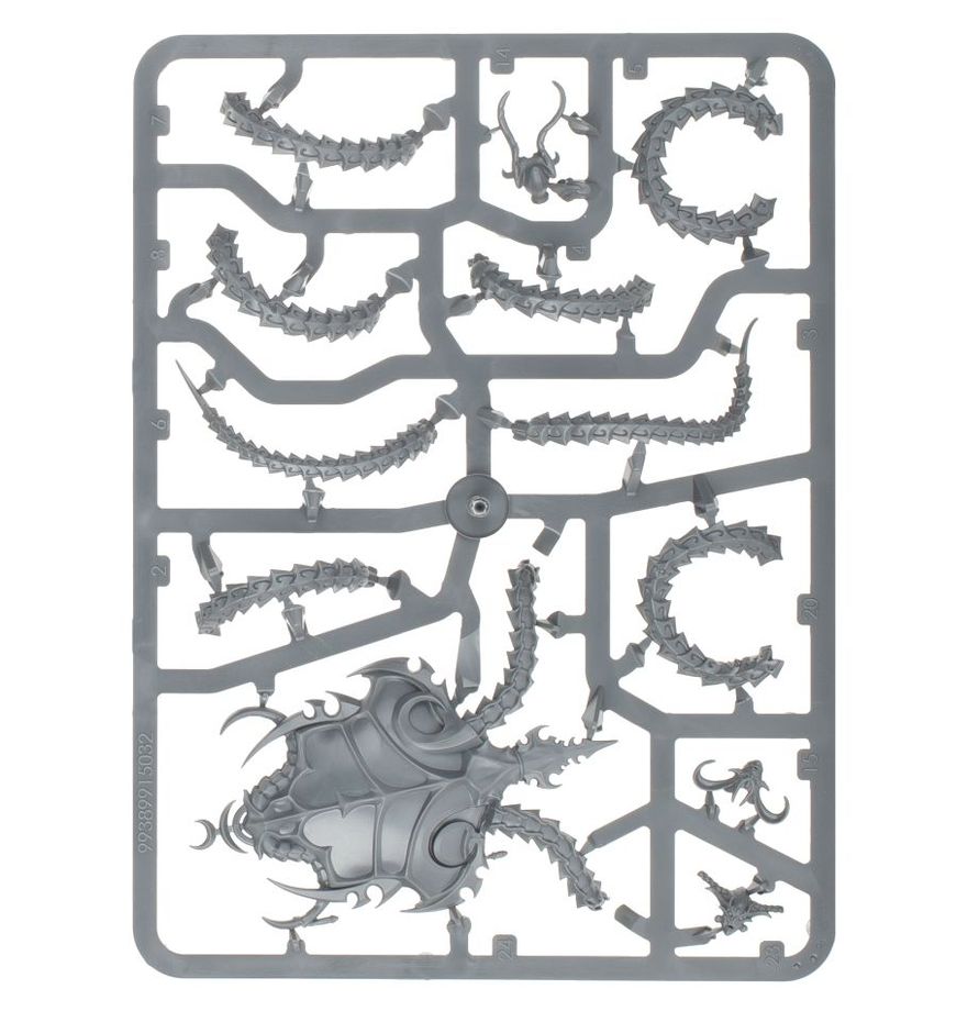 Hedonites Of Slaanesh : Accursed Reflection