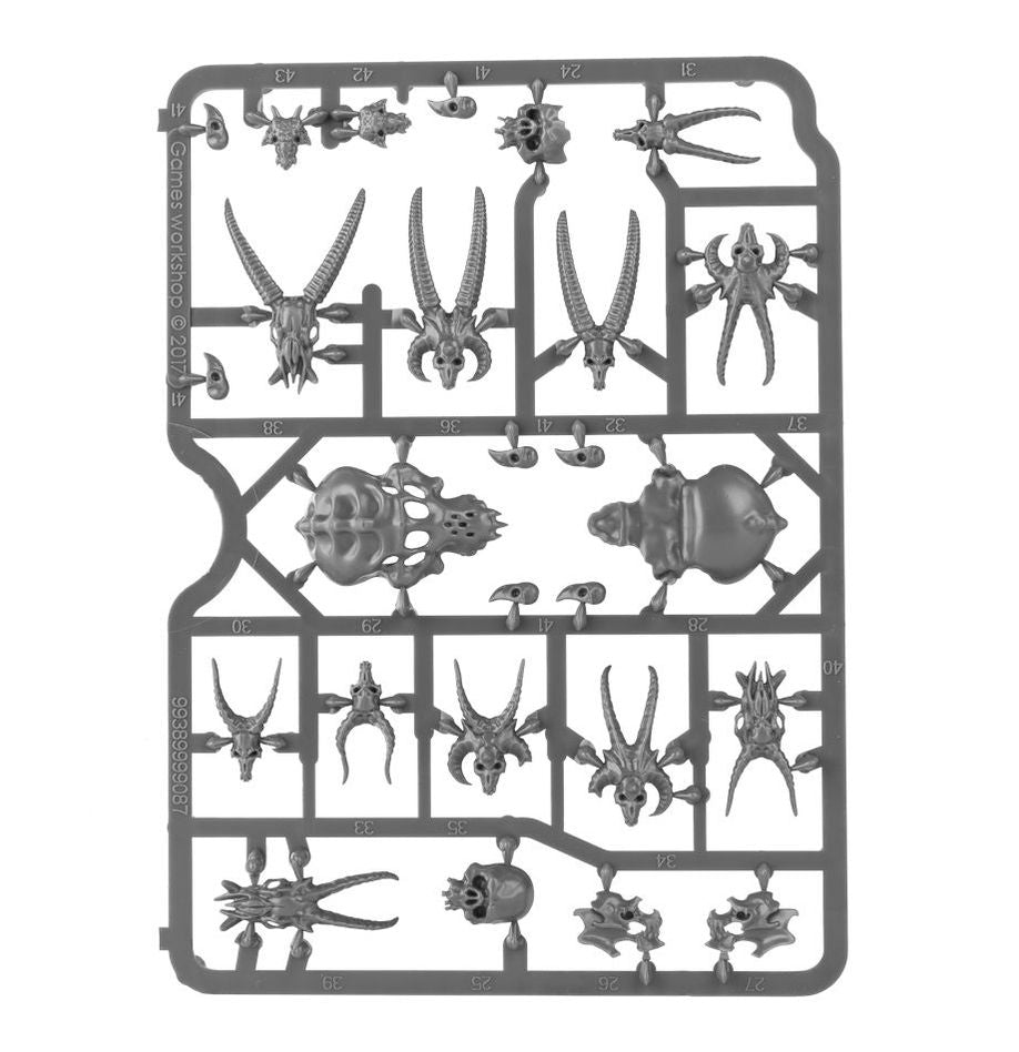 Citadel: Skulls